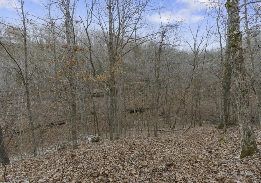 893 Hidden Springs Lane Reeds Spring, MO 65737 - Photo 79 of 83 893-Hidden-Springs-Ln-TRail-Retreat