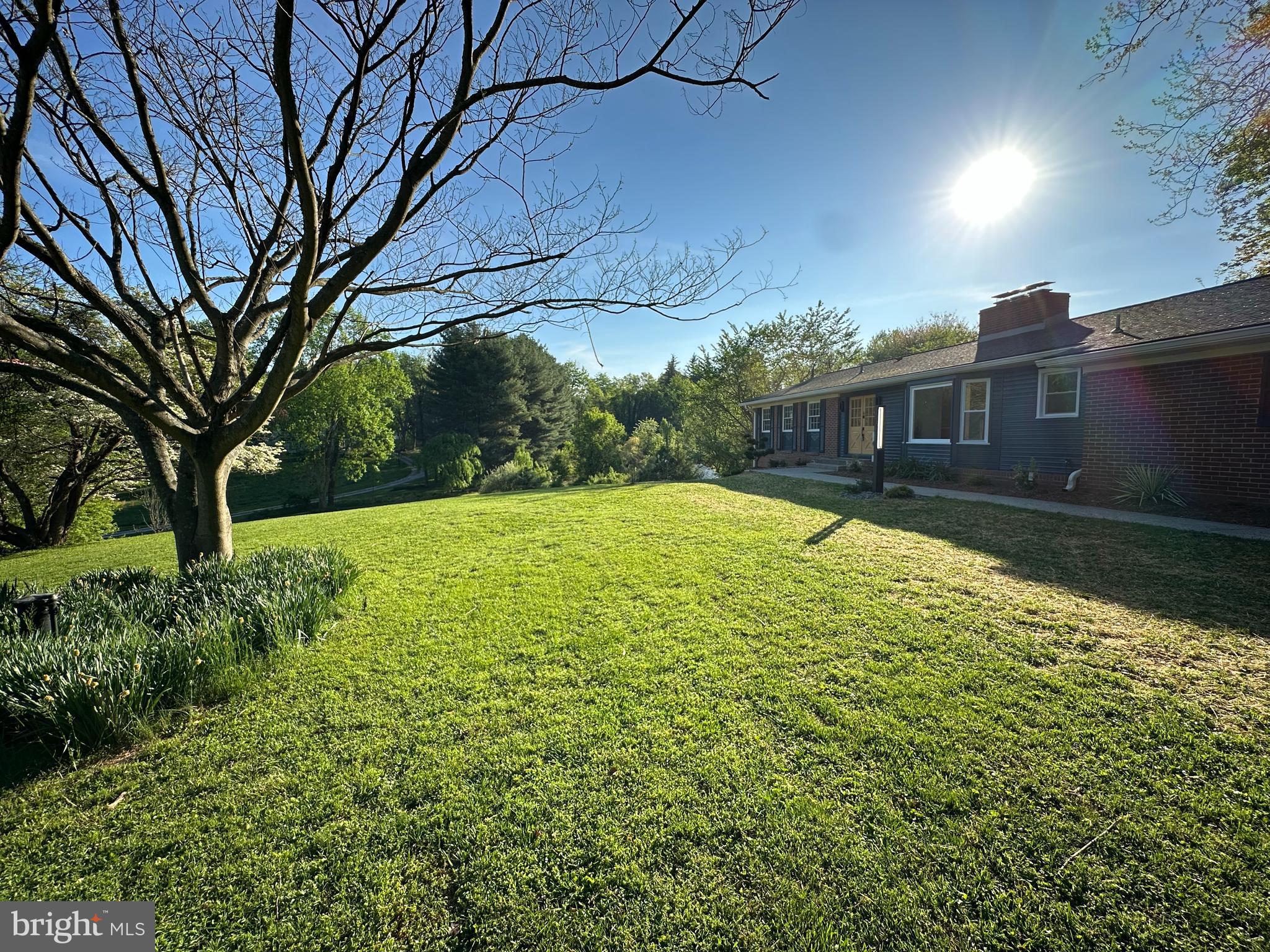 17821 Pond Road Ashton, MD 20861 - Photo 90 of 133