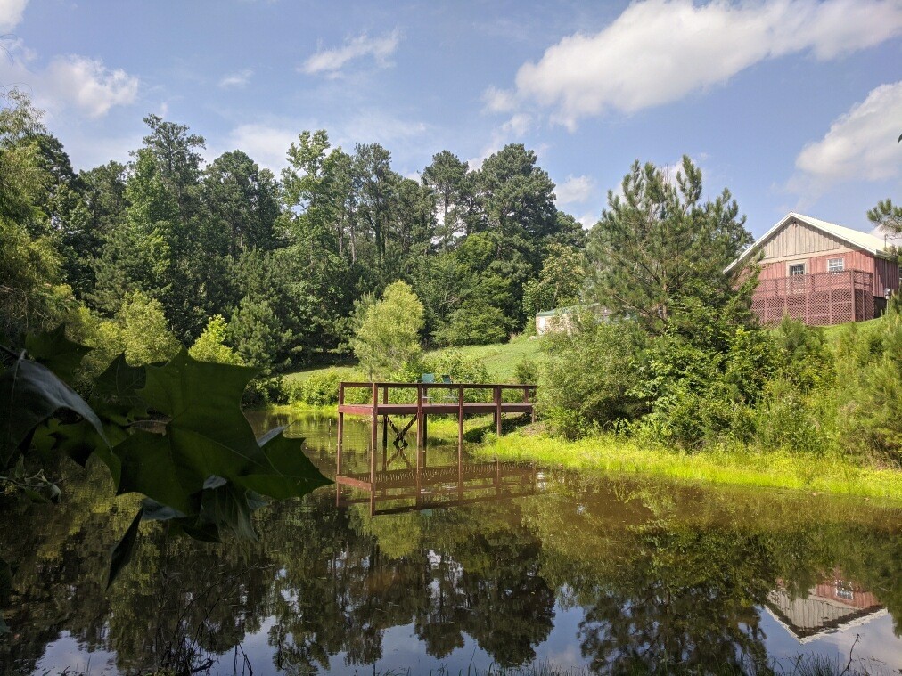 119 Cypress Road Buchanan, TN 38222 - Photo 1 of 26 a view of a garden with lawn chairs