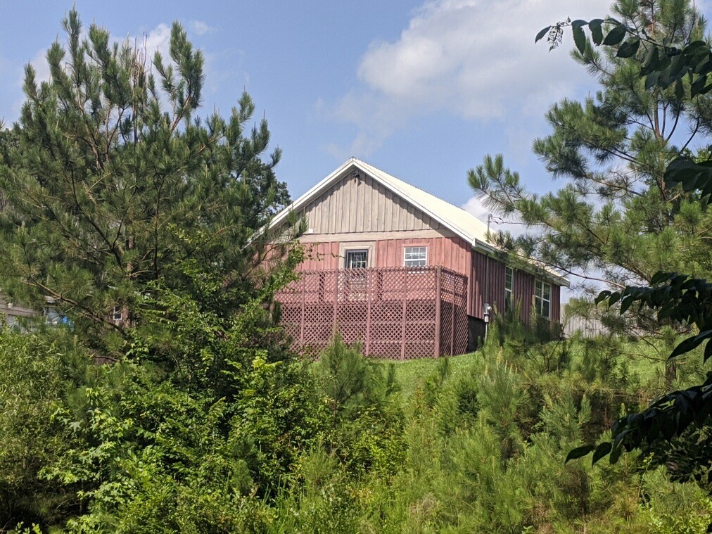 119 Cypress Road Buchanan, TN 38222 - Photo 2 of 26 a view of a back yard of a house