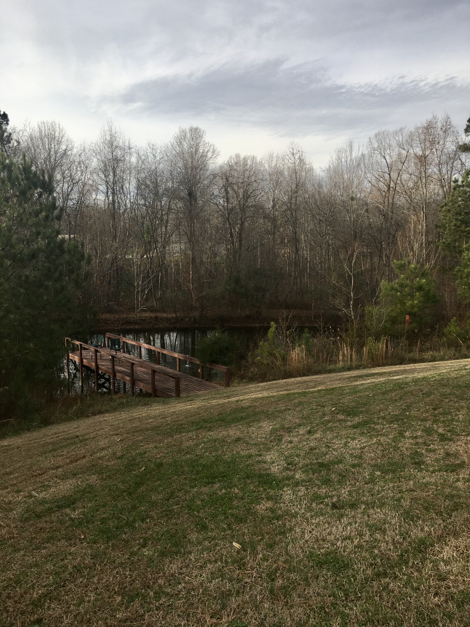 119 Cypress Road Buchanan, TN 38222 - Photo 8 of 26 a view of a green field