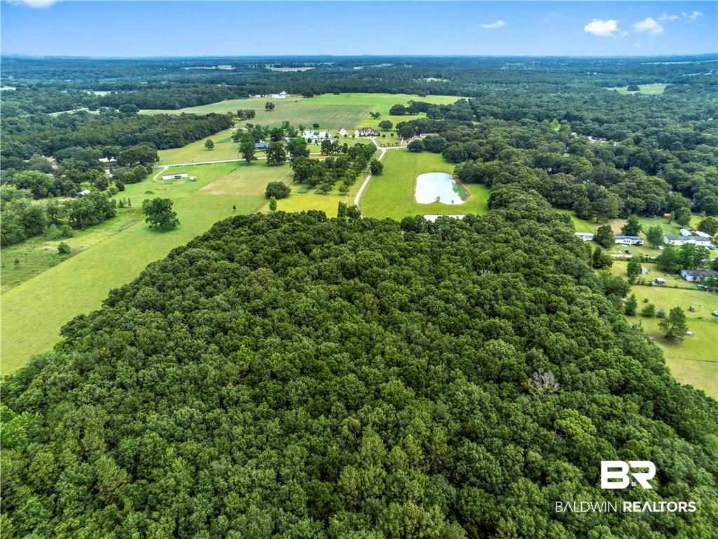 10981 Old Pascagoula Road Grand Bay, AL 36541 - Photo 44 of 49