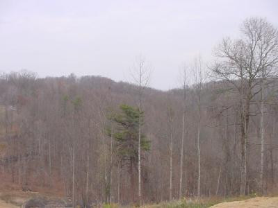 176 Kirby Knob Road McKee, KY 40447 - Photo 4 of 4 acerage view 2