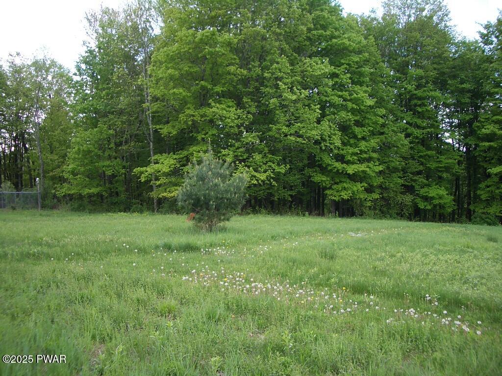 4 Avoy Heights Road Lake Ariel, PA 18436 - Photo 8 of 9