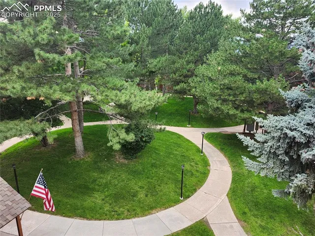 a view of a back yard with plants and large trees