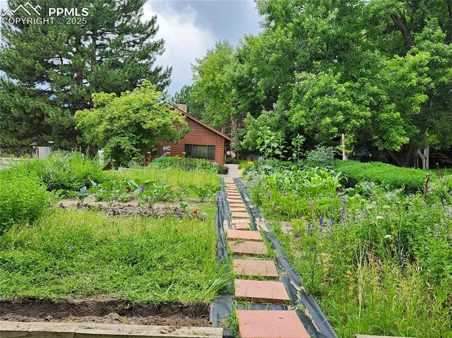a view of a park with tree s