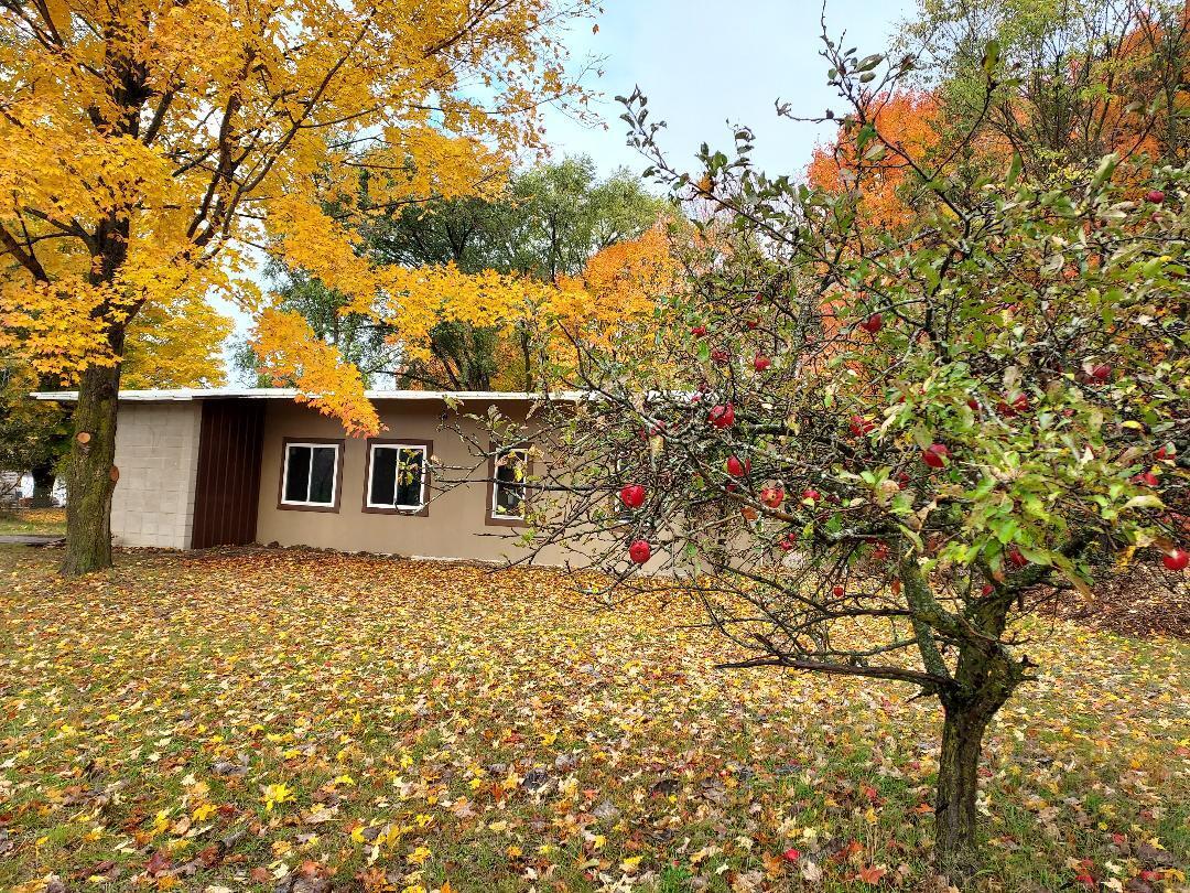 12134 Clark Street Rodney, MI 49342 - Photo 16 of 20 Charles apple tree