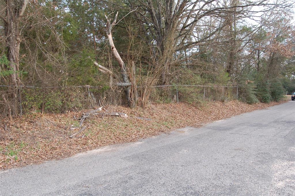 1004 Whiteside Road Tyler, TX 75709 - Photo 2 of 6 a view of a yard with a tree