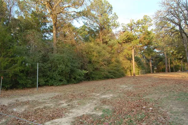 a view of a field with trees in the background