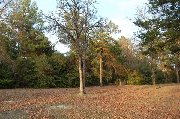a view of a field with trees in front of it