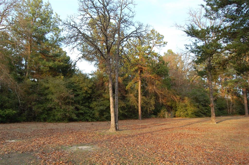 1004 Whiteside Road Tyler, TX 75709 - Photo 4 of 6 a view of a field with trees in front of it