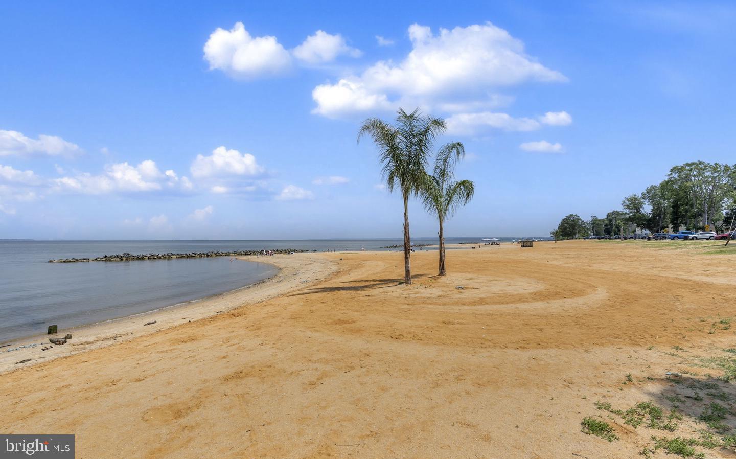 78 Rustic Lane Colonial Beach, VA 22443 - Photo 42 of 56 Serene beach with swaying palms.