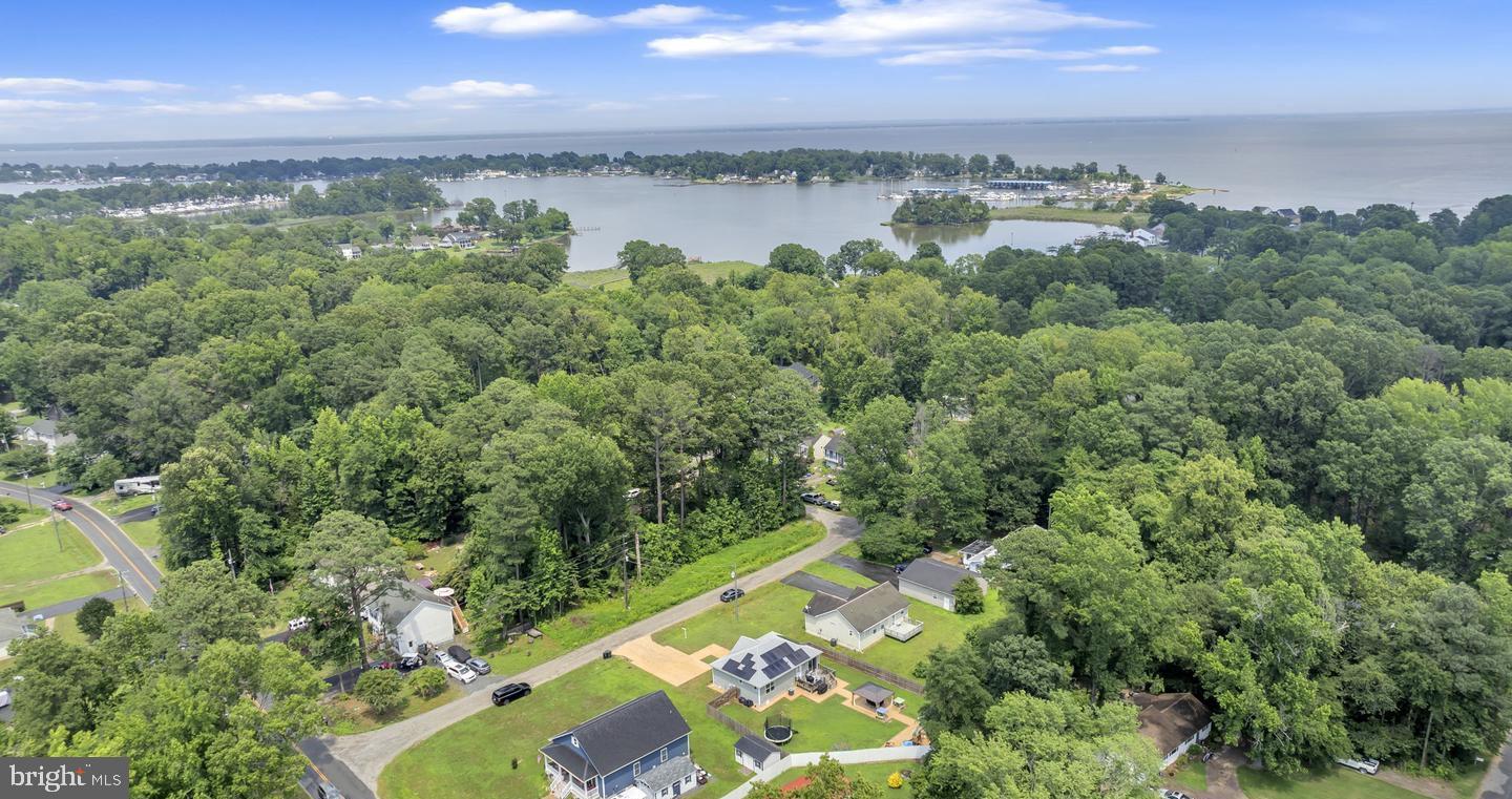 78 Rustic Lane Colonial Beach, VA 22443 - Photo 43 of 56 Lush landscapes meet serene waterscape.