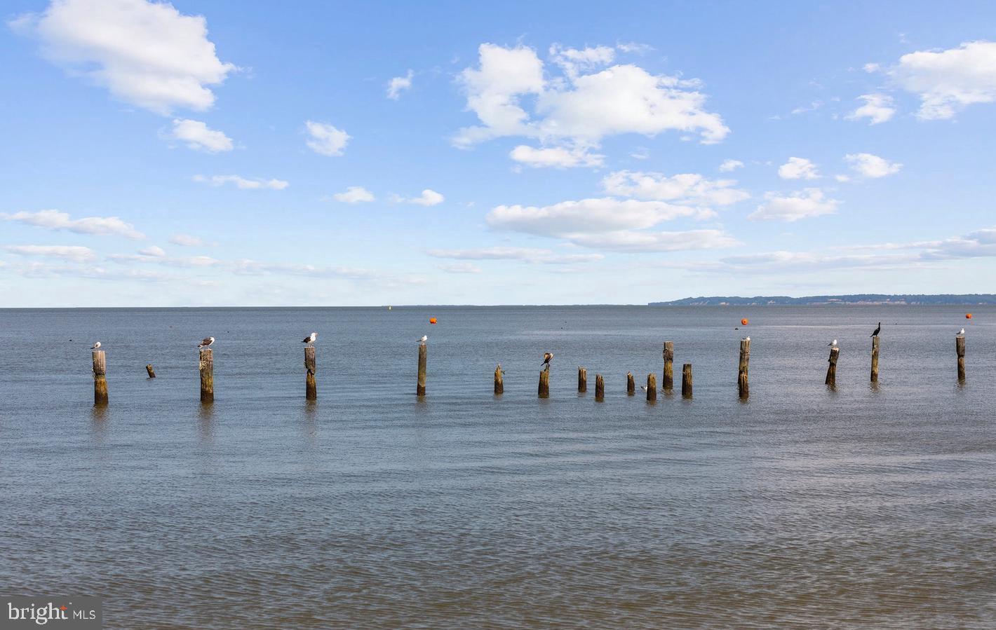 78 Rustic Lane Colonial Beach, VA 22443 - Photo 53 of 56 Serene shoreline with weathered pilings.