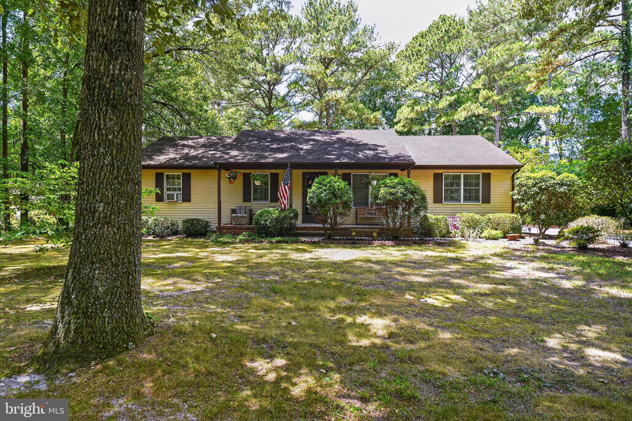 7204 East Ranier Drive Parsonsburg, MD 21849 - Photo 33 of 38