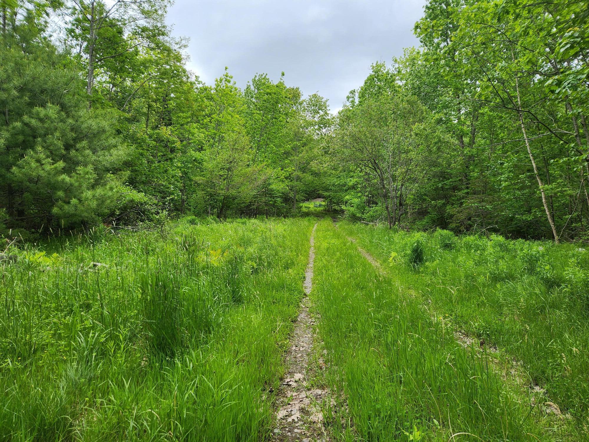 131 River Road Edgecomb, ME 04556 - Photo 18 of 28 20230606_121906