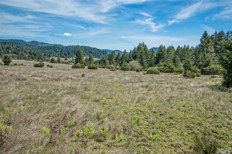 35147 Annapolis Road Annapolis, CA 95412 - Photo 1 of 1 a view of a big yard with plants and large trees