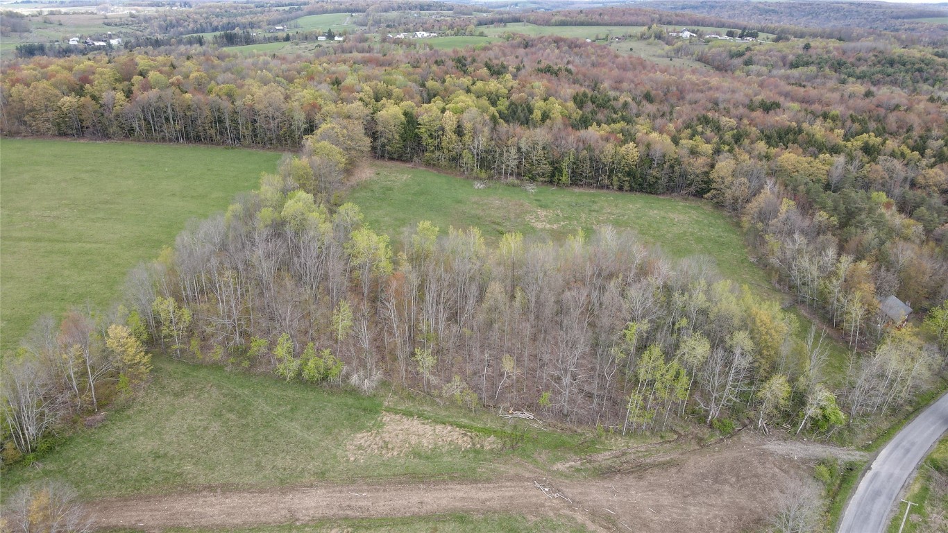 249 Rabbit Path Road Maine, NY 13802 - Photo 17 of 23 Gallery Image 17
