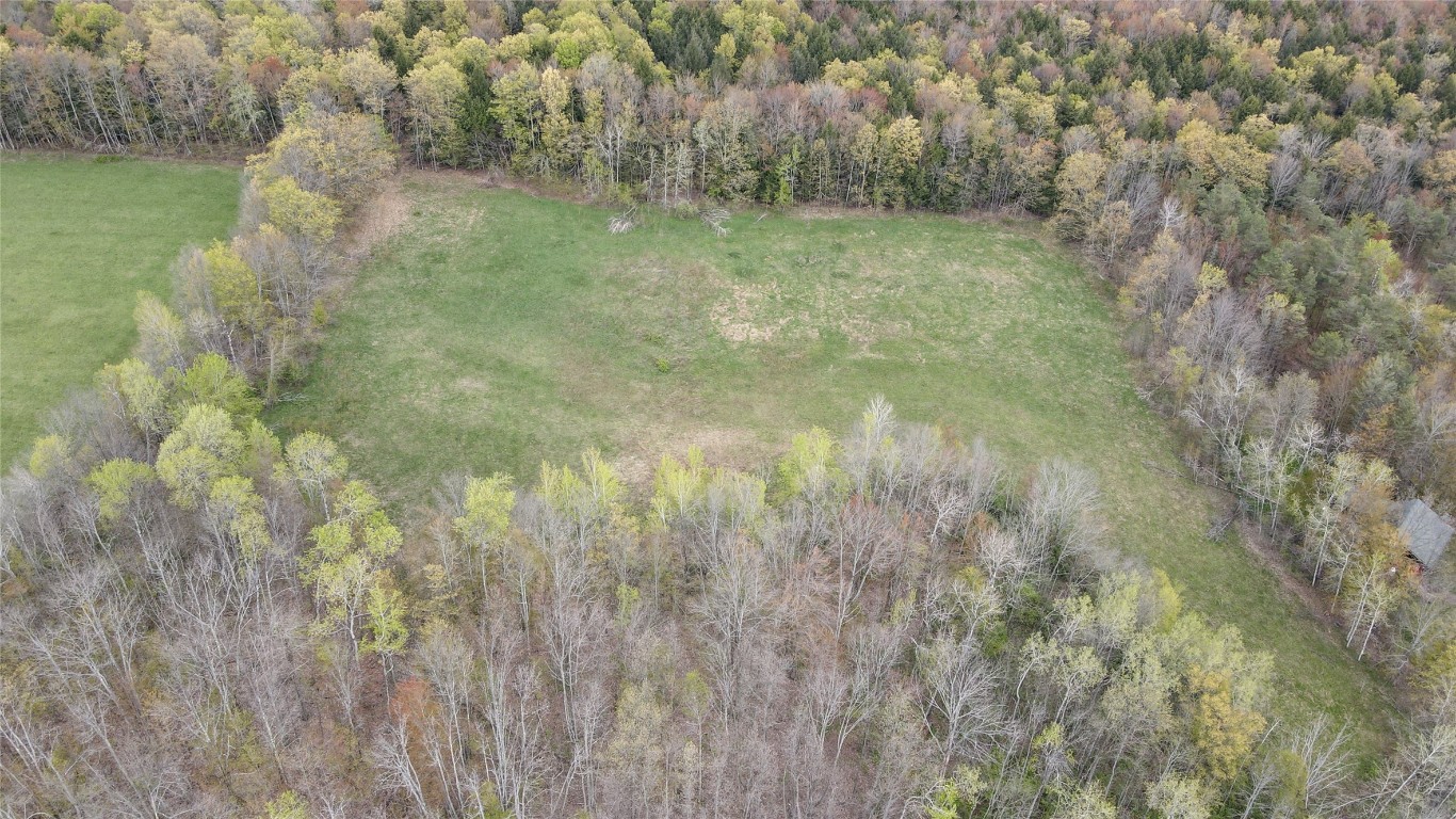 249 Rabbit Path Road Maine, NY 13802 - Photo 18 of 23 Gallery Image 18