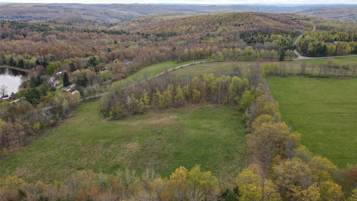 249 Rabbit Path Road Maine, NY 13802 - Photo 21 of 23 Gallery Image 21