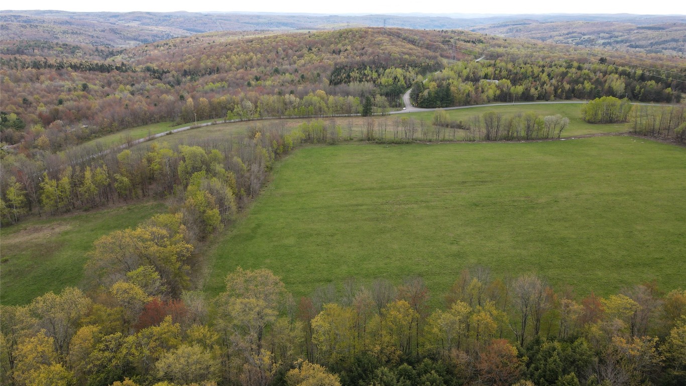 249 Rabbit Path Road Maine, NY 13802 - Photo 22 of 23 Gallery Image 22