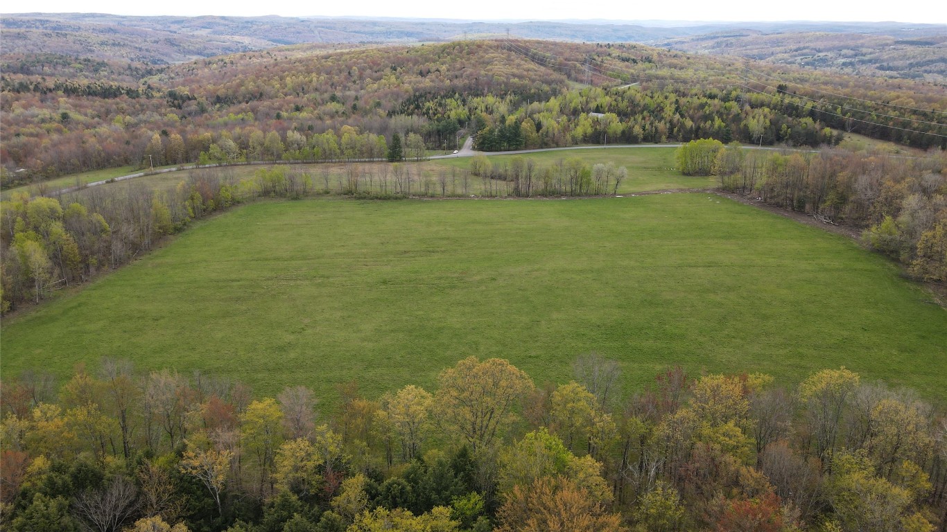 249 Rabbit Path Road Maine, NY 13802 - Photo 23 of 23 Gallery Image 23