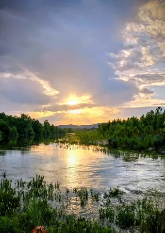 a room with furniture and windows
