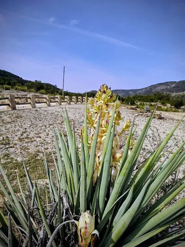 a view of an empty room with windows