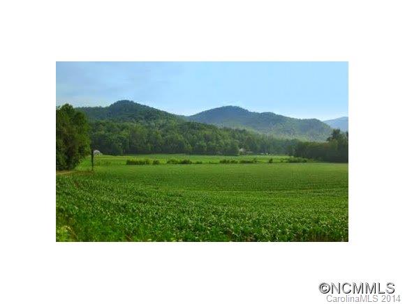 7.2-ac Bat Cave Road Old Fort, NC 28762 - Photo 1 of 1 Gallery Image 1