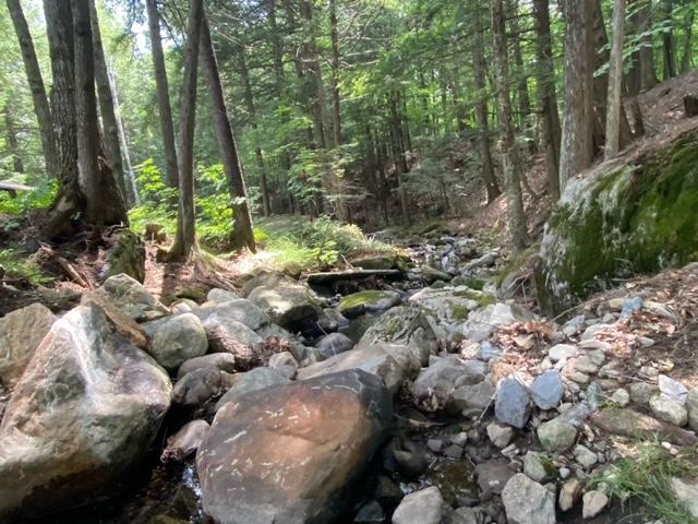 172 Tufts Pond Road Kingfield, ME 04947 - Photo 15 of 23 image9