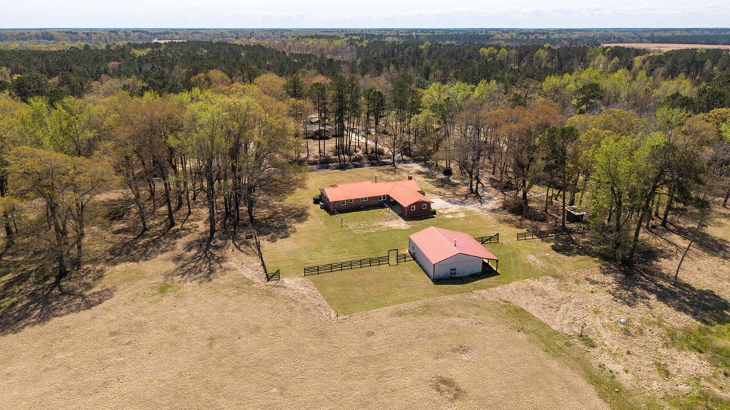 3795 Bart Davis Road Alcolu, SC 29001 - Photo 41 of 81