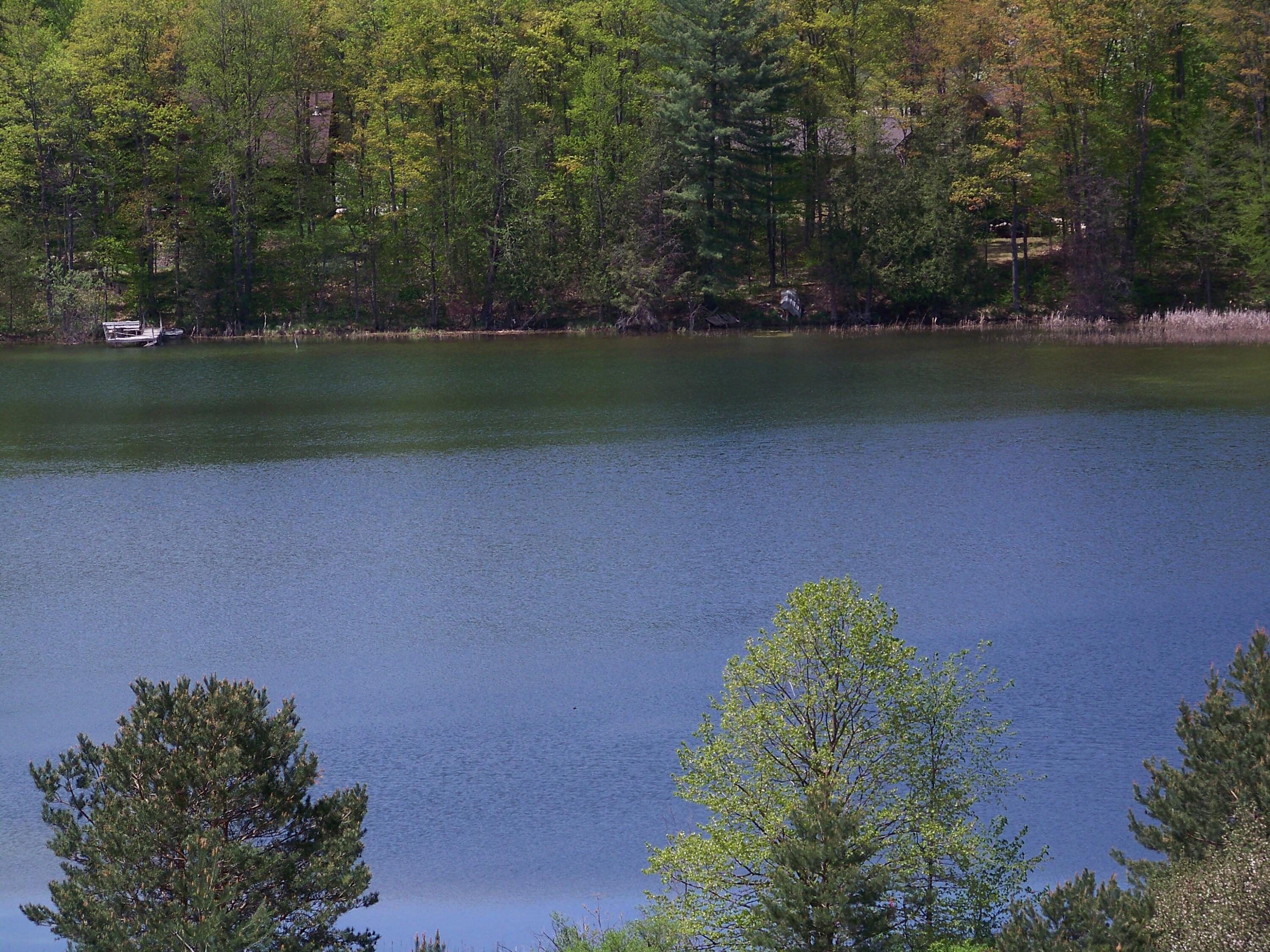 Guenther Ridge Gaylord, MI 49735 - Photo 3 of 15 Gallery Image 3