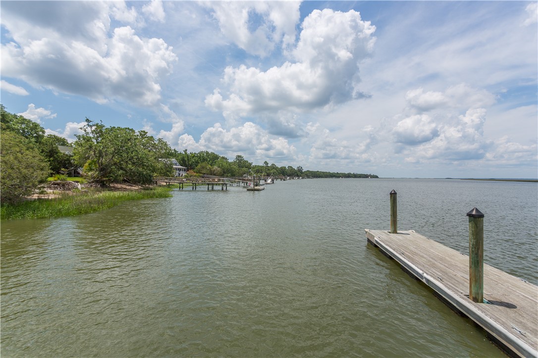 59 Barbour Island Townsend, GA 31331 - Photo 3 of 54