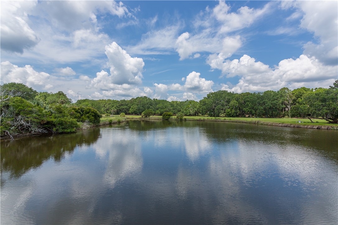 59 Barbour Island Townsend, GA 31331 - Photo 41 of 54