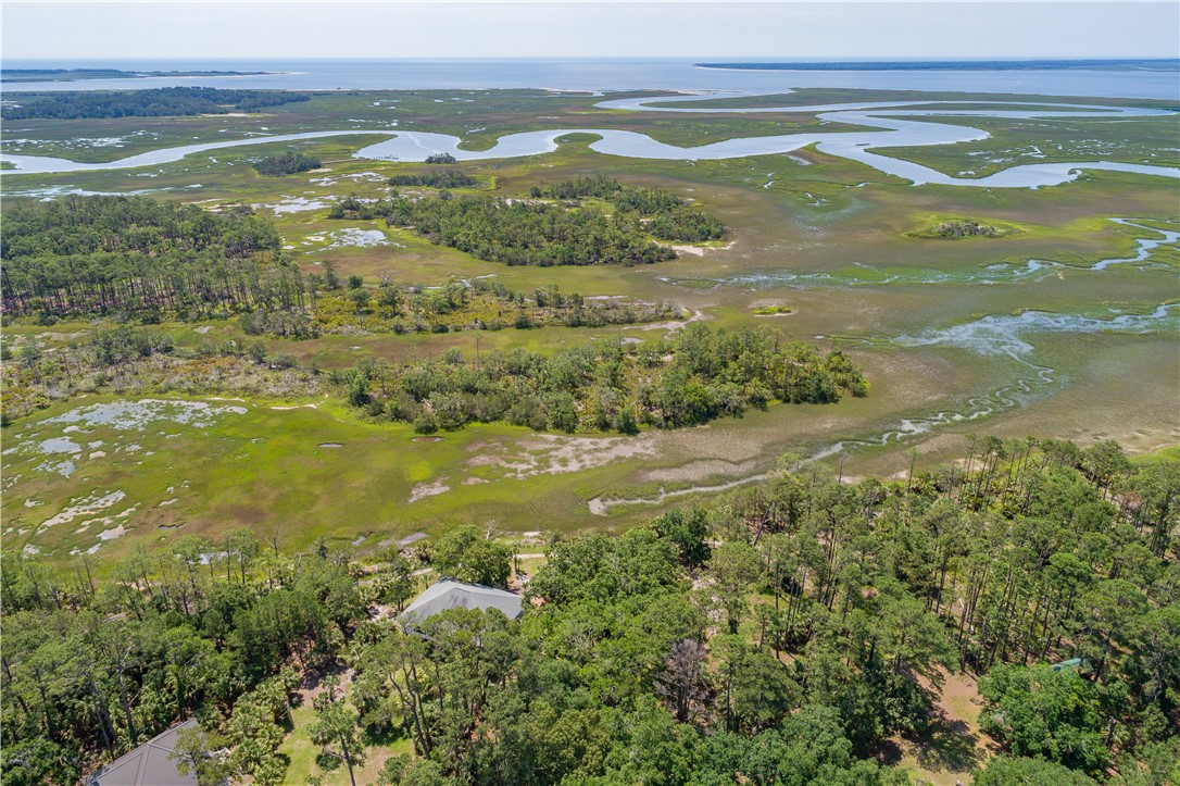 59 Barbour Island Townsend, GA 31331 - Photo 50 of 54