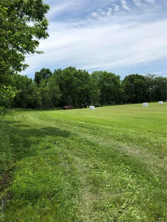 a view of a field with an ocean and trees in the background