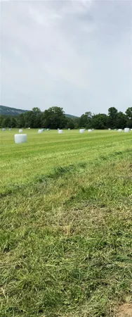 a view of a lake with a yard
