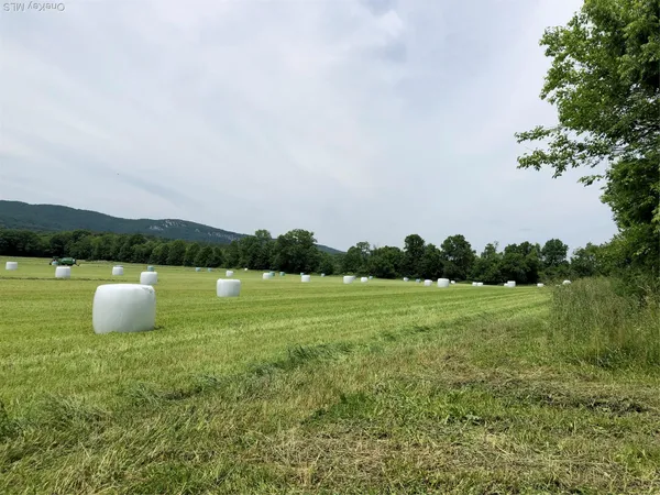 a view of a green field with wooden fence