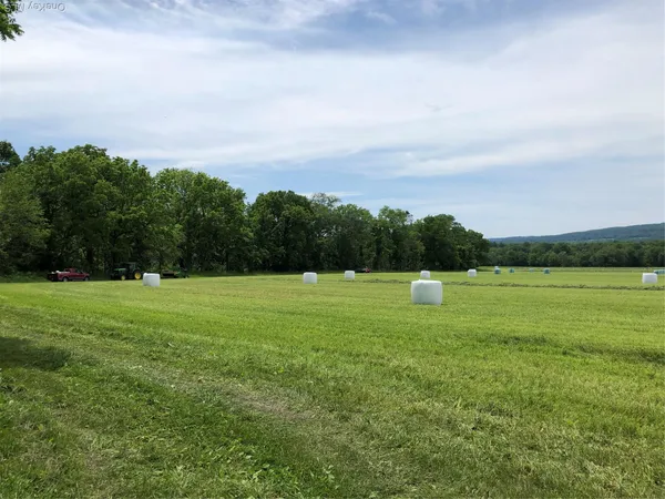 a view of a field