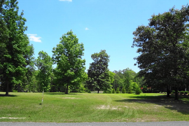 Lot 201 Ravenswood Road Hampstead, NC 28443 - Photo 1 of 2 Primary Photo