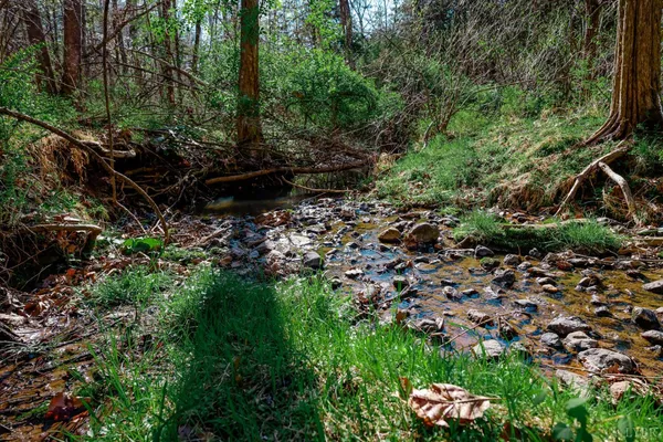 $589,500 | 1175 Davis Mill Lane, Bedford, VA 24523