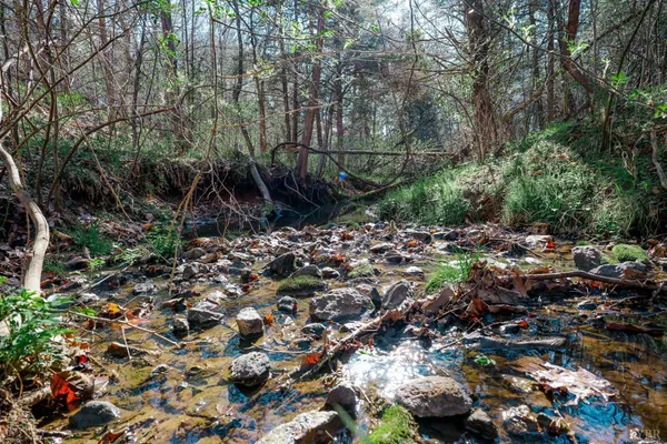 $589,500 | 1175 Davis Mill Lane, Bedford, VA 24523