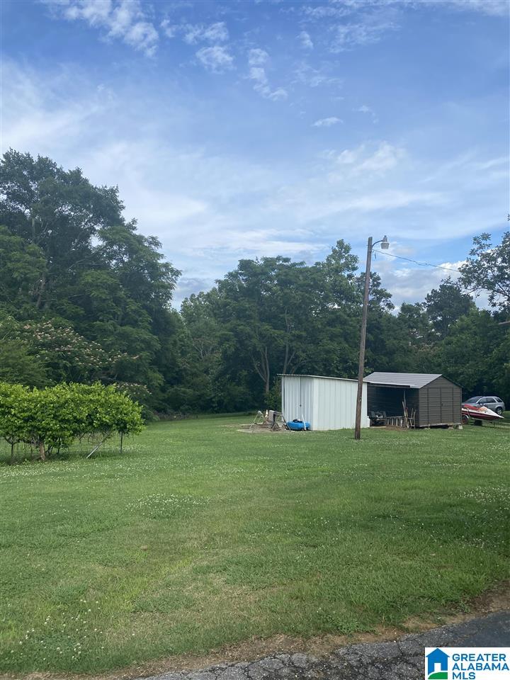 4018 County Road 495 Verbena, AL 36091 - Photo 5 of 44