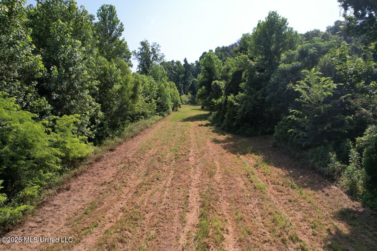Annas Bottom Road Natchez, MS 39120 - Photo 9 of 48 DJI_0408 Large