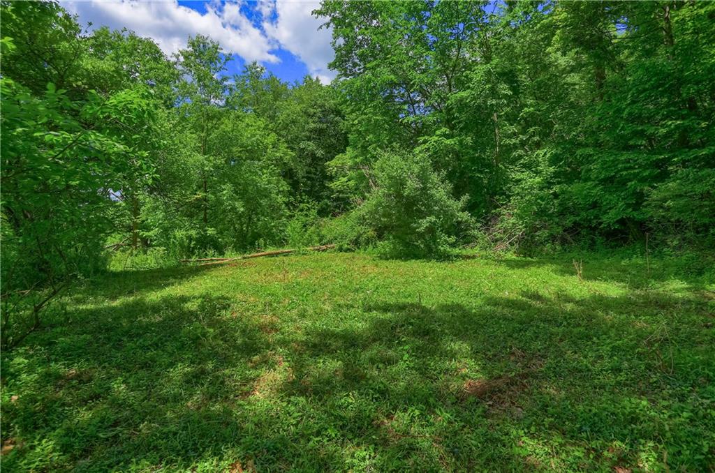 149 Seneca School Road Harmony, PA 16037 - Photo 47 of 50 A cleared part of the .90 acre lot perfect to build your dream home in the woods.