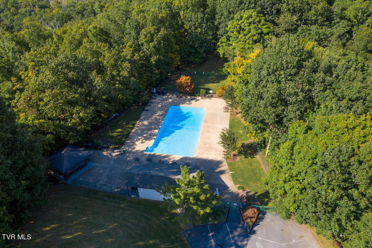 331 Hickory Bluff, Unit 331 Johnson City, TN 37601 - Photo 49 of 49 Woodstone Pool copy