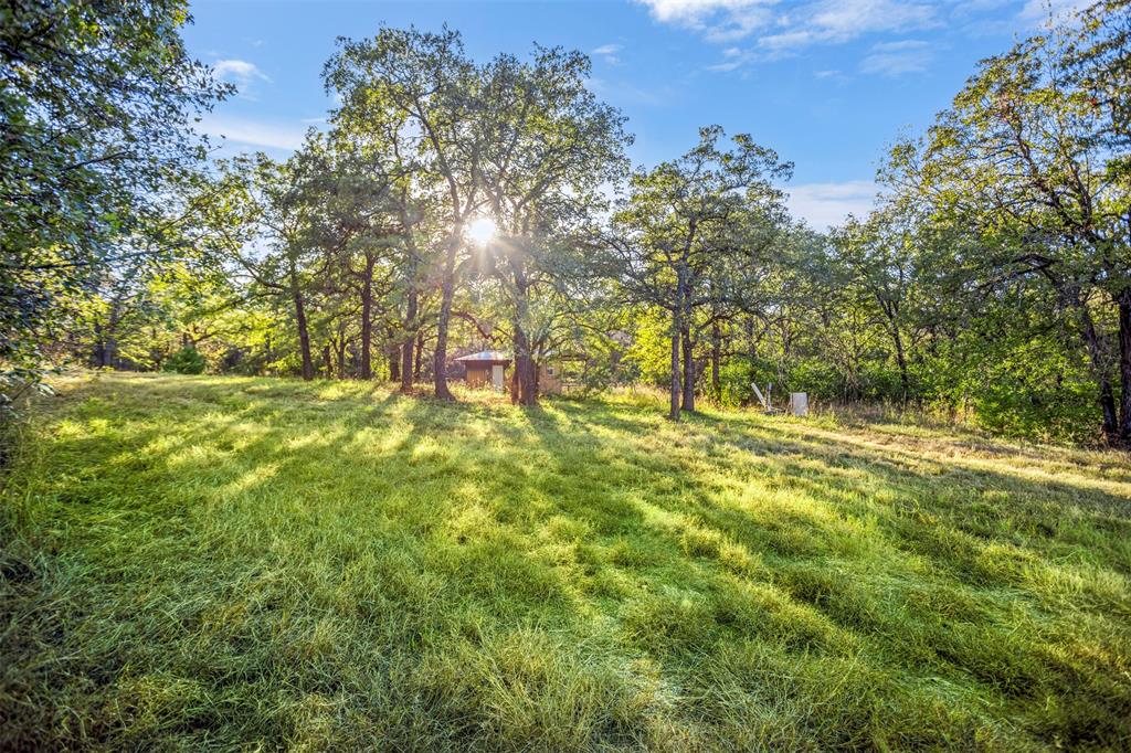 199 Cheyenne Trail Springtown, TX 76082 - Photo 10 of 22 Expansive grassy clearing surrounded by mature trees, offering a private, natural setting