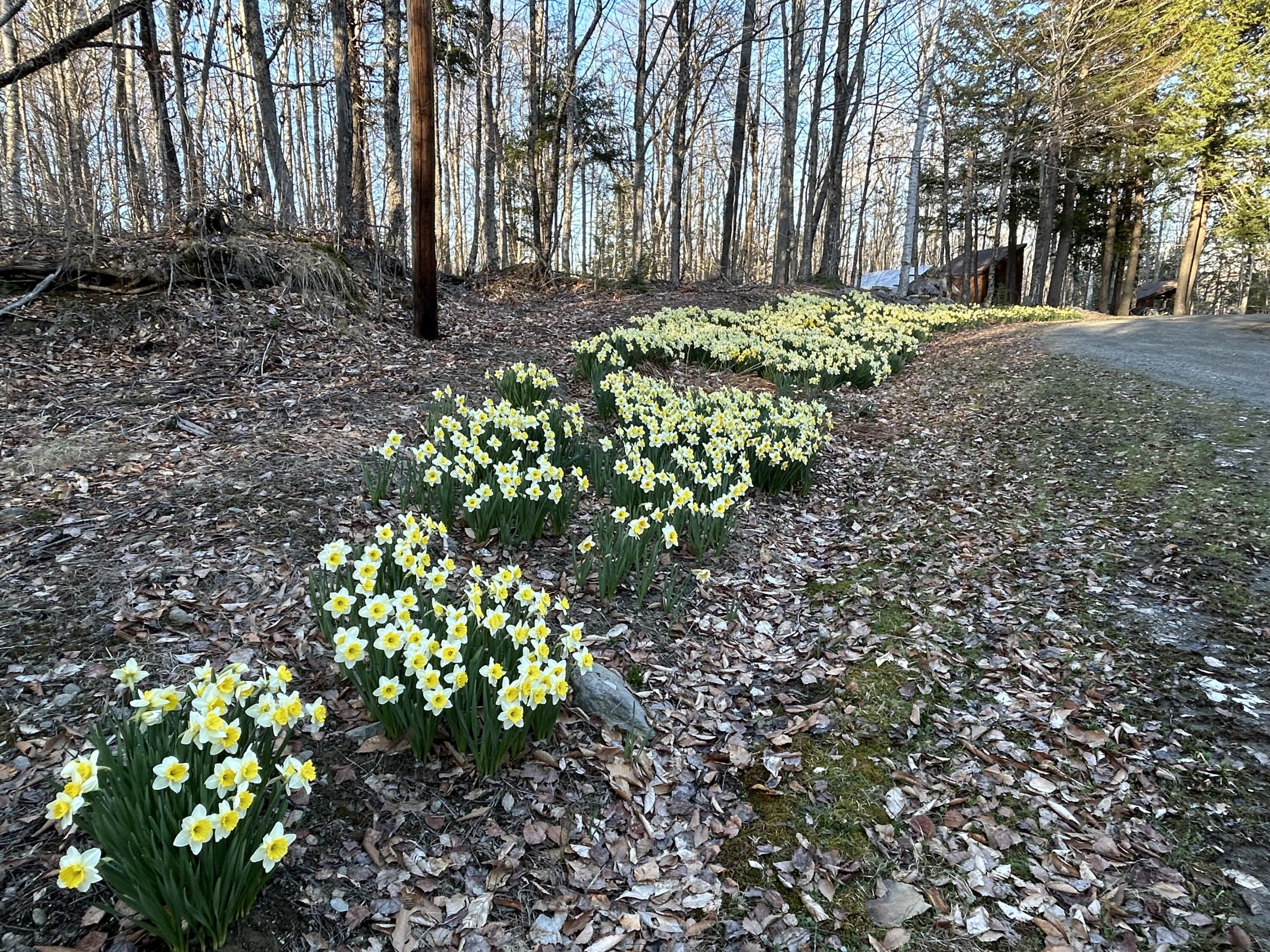 84 Bunker Road Charleston, ME 04422 - Photo 29 of 39 IMG_5210