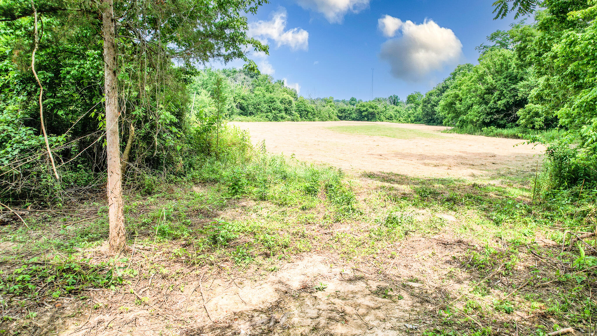 Tbd Tbd Woodlawn Road Greeneville, TN 37745 - Photo 12 of 17 DJI_0147-Edit