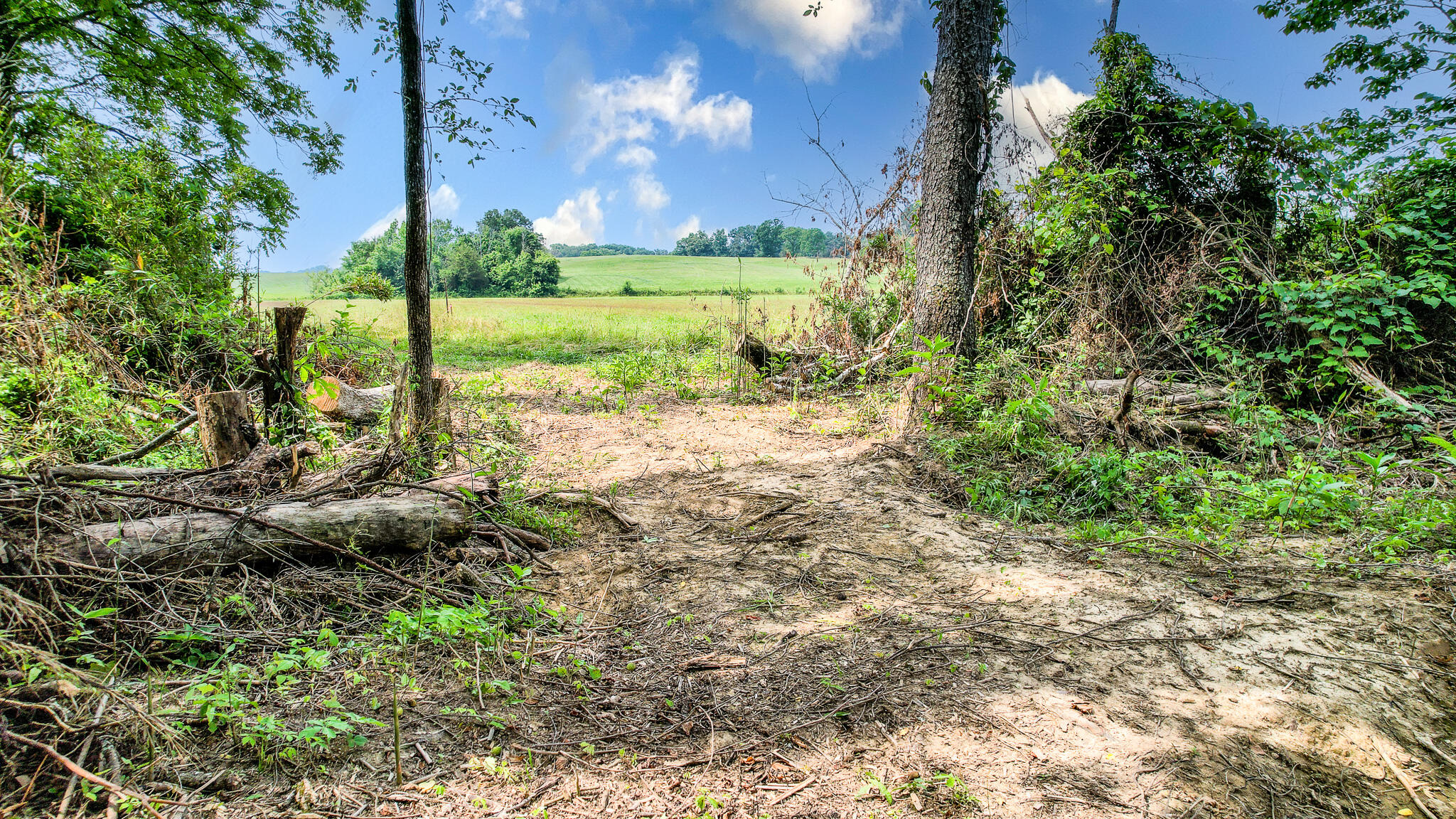 Tbd Tbd Woodlawn Road Greeneville, TN 37745 - Photo 13 of 17 DJI_0148-Edit